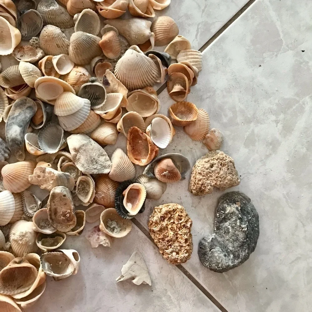 Custom shell bundle — PLEASE READ - Picture 12 of 16